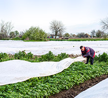 Agricultural Products Cover