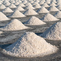 Salt Industry