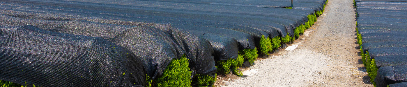 Agro Shade Net