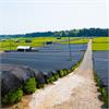 Agro Shade Net